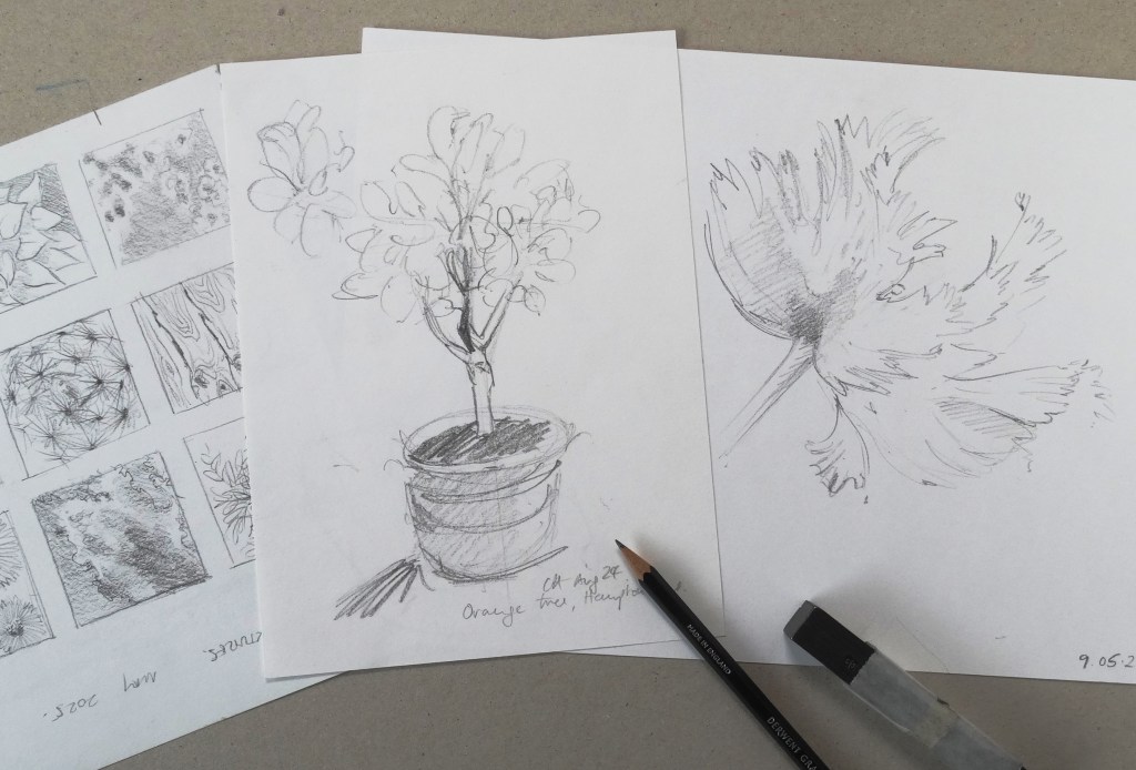 Drawing textures and outlines to capture the essence of things.