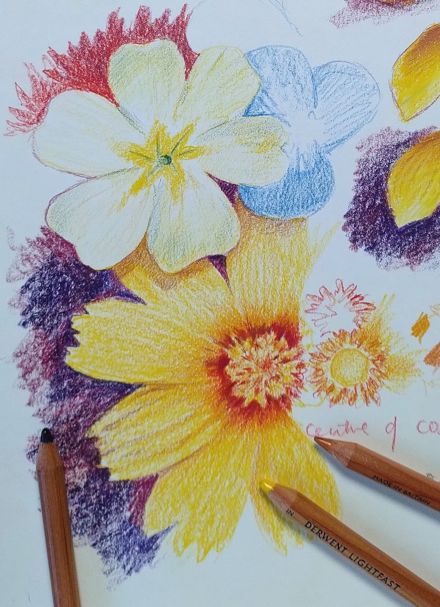 Draw flowers in bright colours